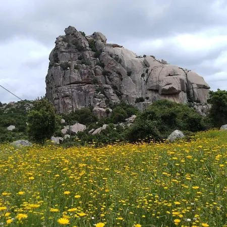 Apartman Gallura Experiences La Casa Di Lina